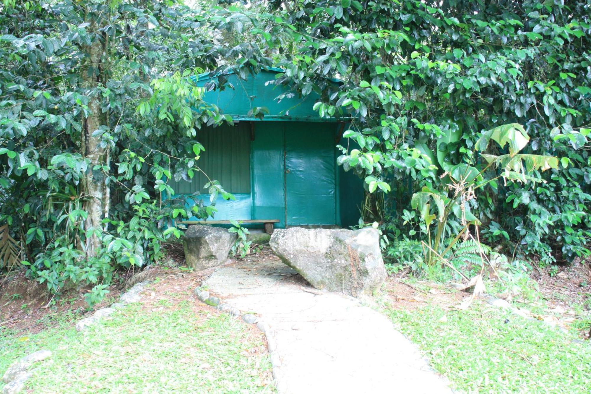 Hotel Del Bosque Río Cuarto Extérieur photo